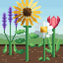 VS Code Flowers